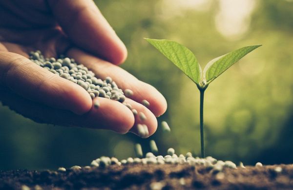 An image of fertilizing services in Cincinnati, OH