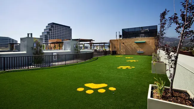 Rooftop dog park with green turf, yellow paw prints, and city views.