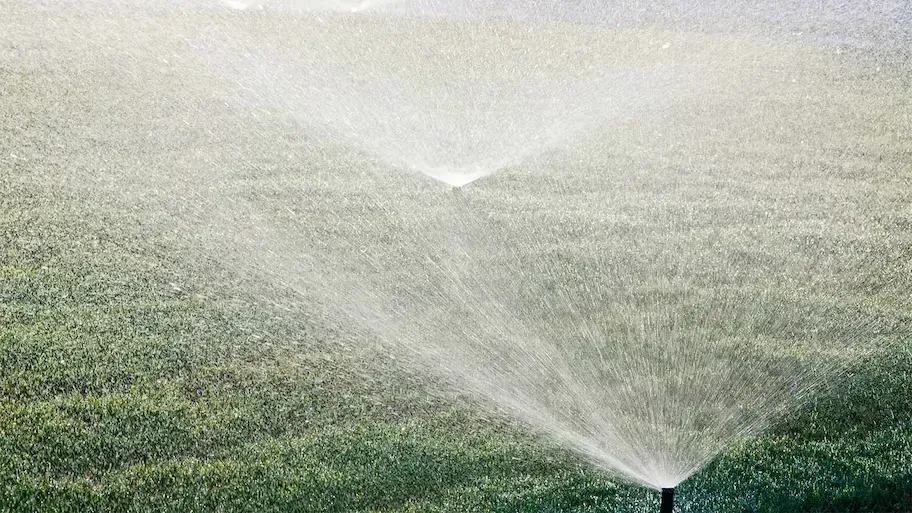 A sprinkler is spraying water on a lush green field. A sprinkler is spraying water on a lush green field.