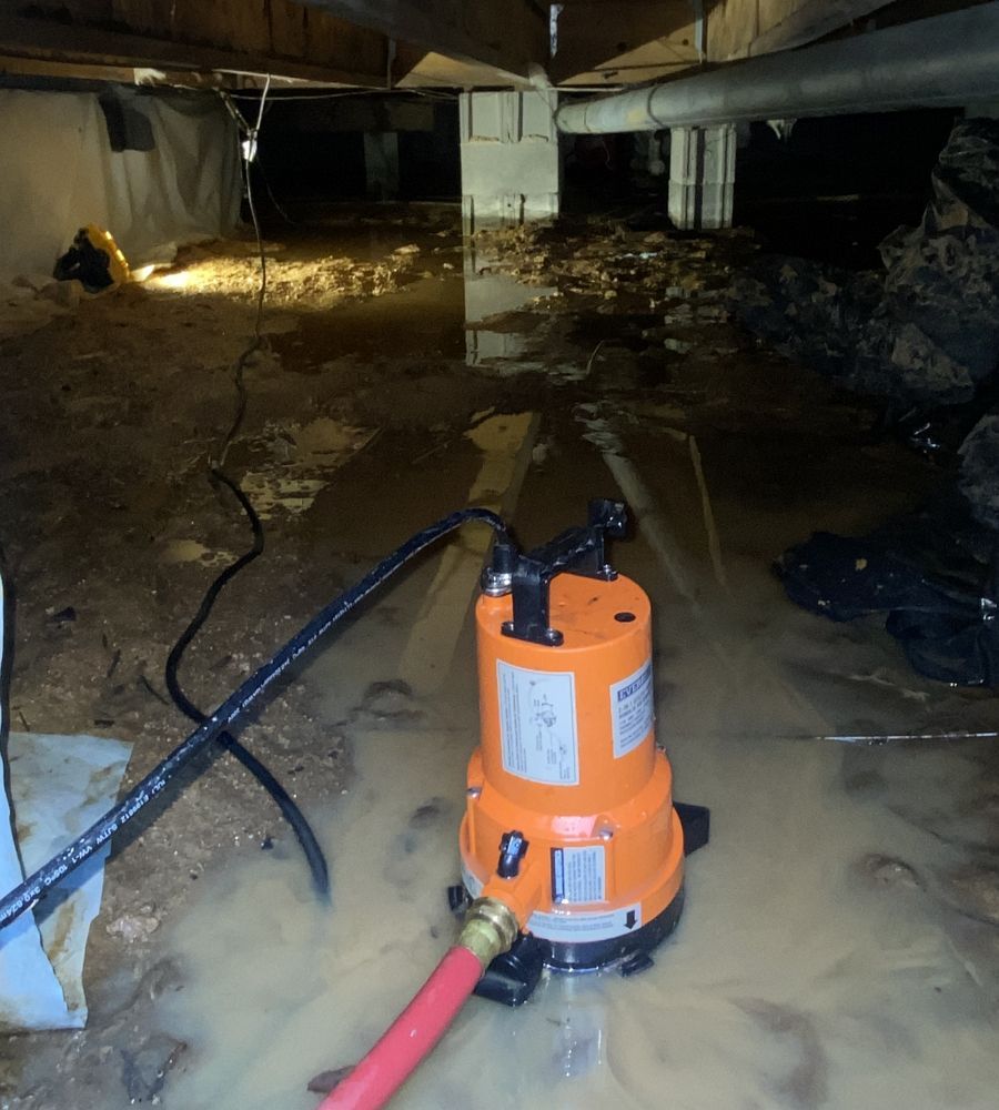 Basement Water Damage Raleigh