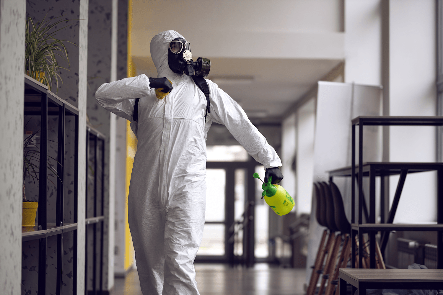 mold removal cary nc worker celebration dance