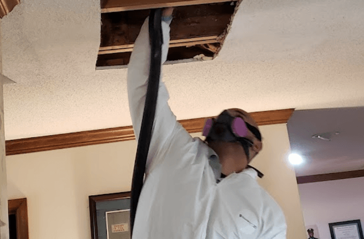 mold removal cary nc worker scrubbing wall