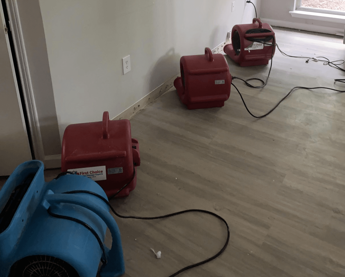 mold remediation durham nc worker <3
