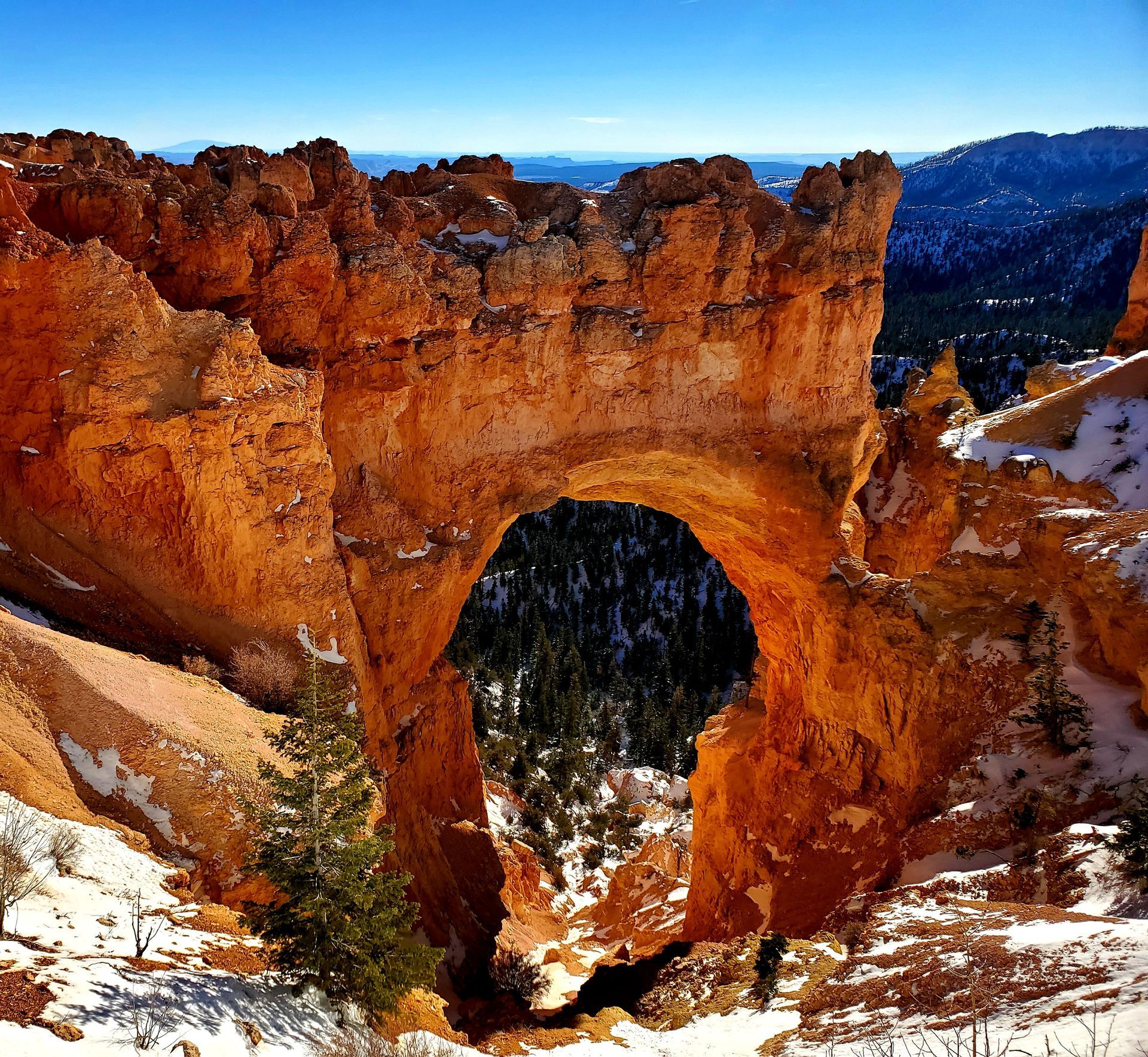 arch