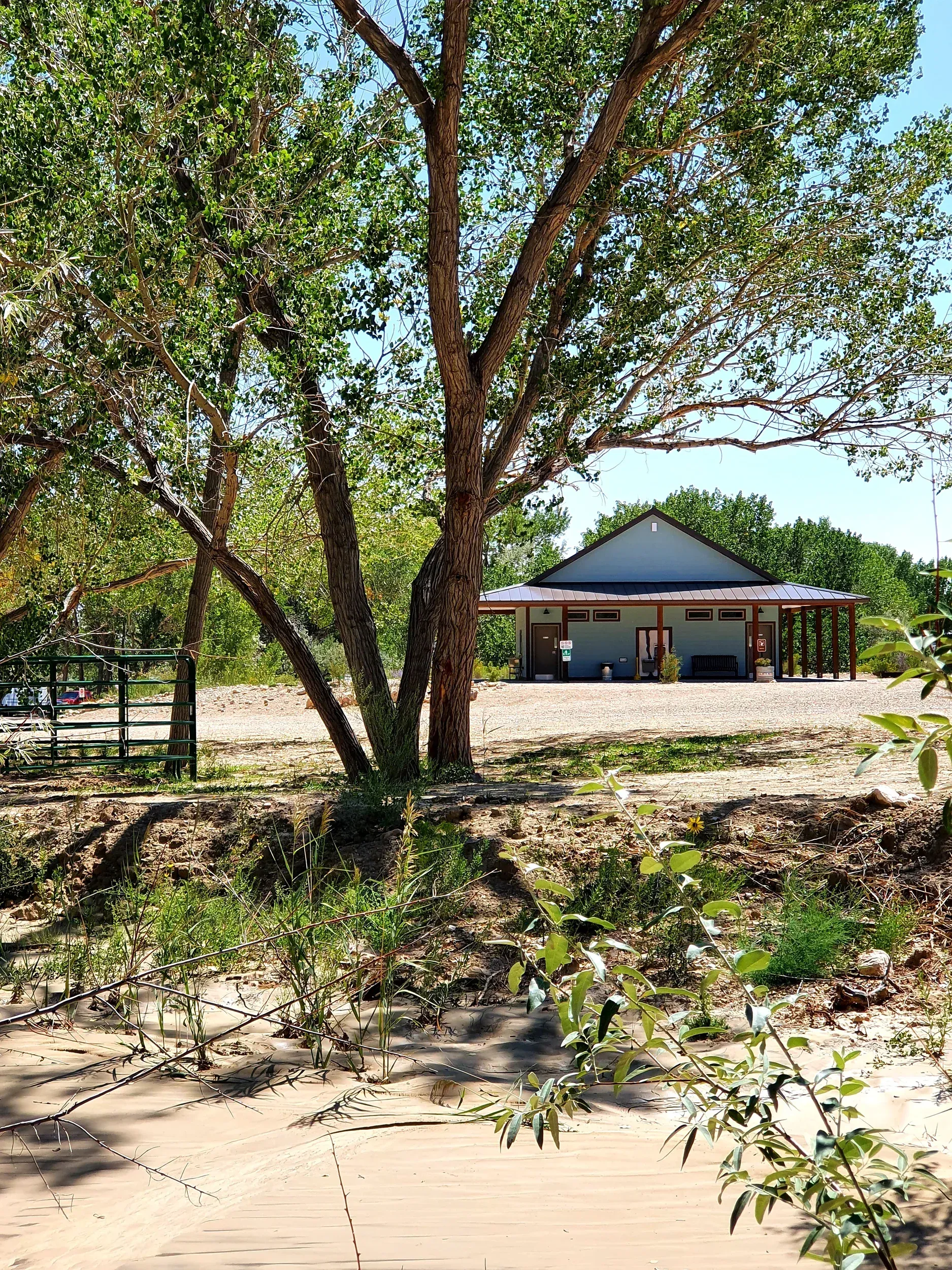 equine-site