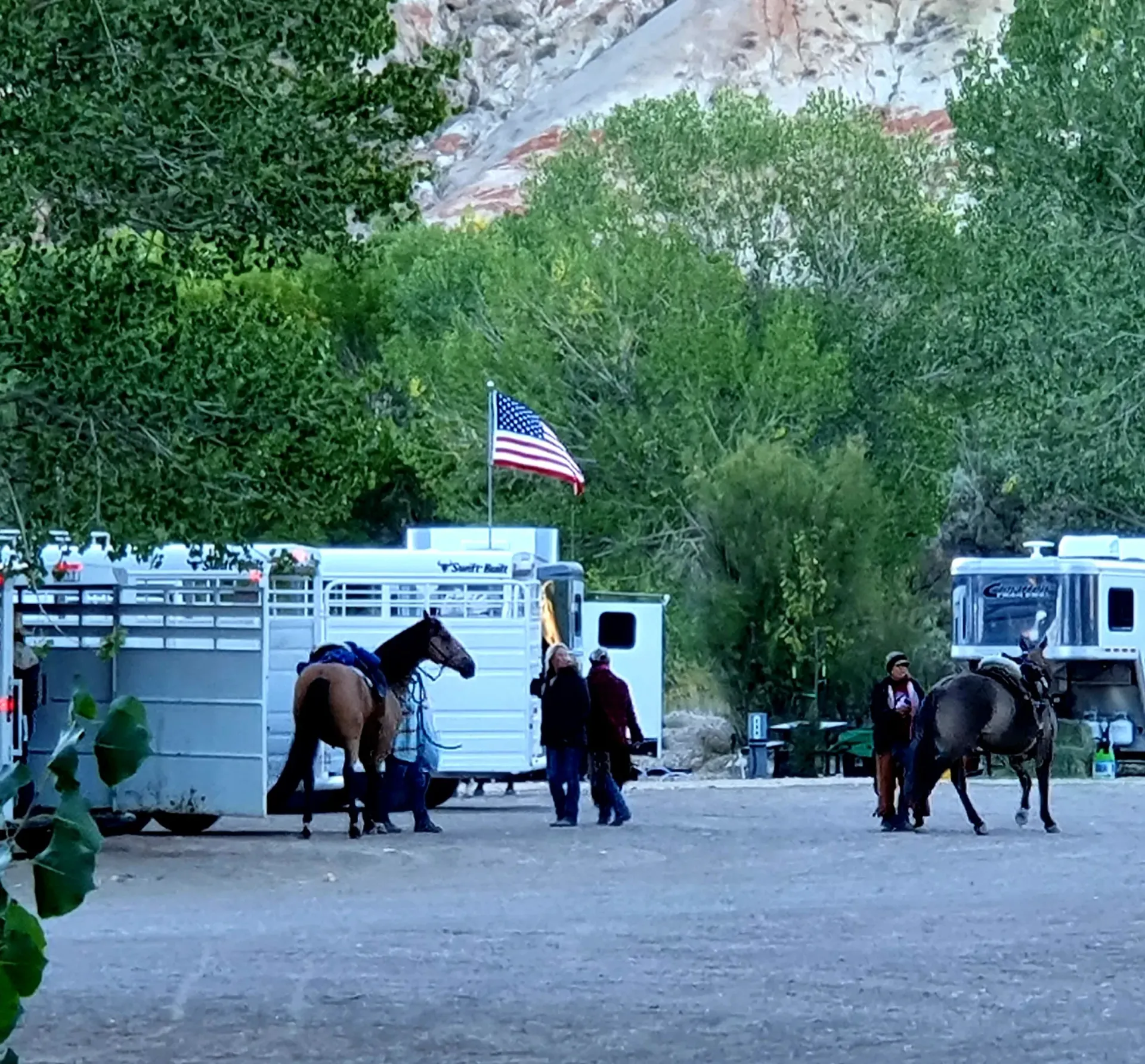 horse-trailer