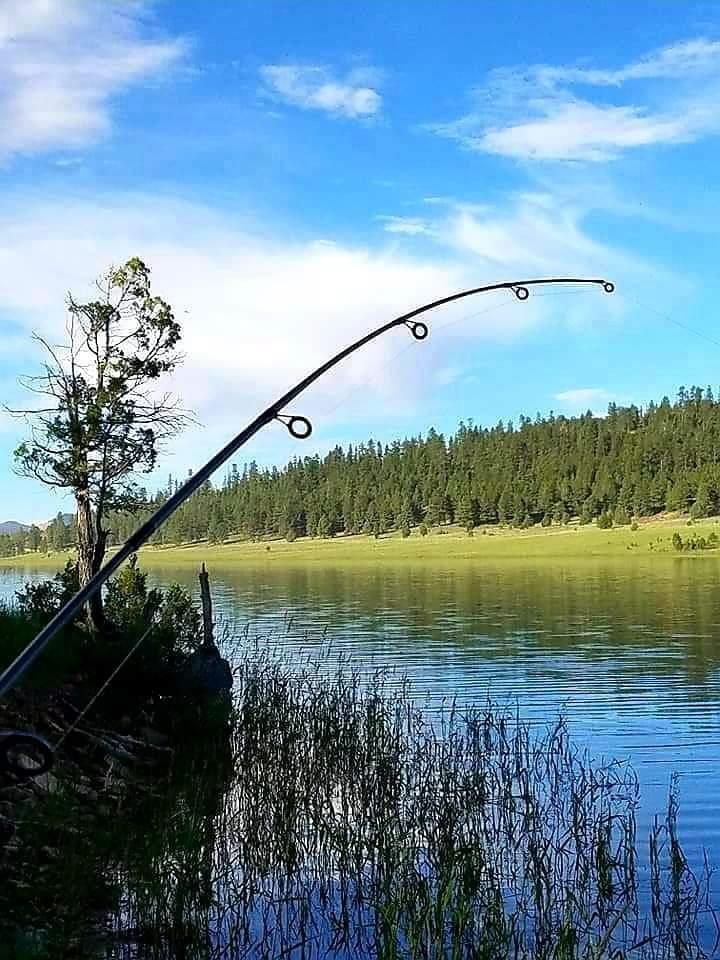 fishing-in-the-water