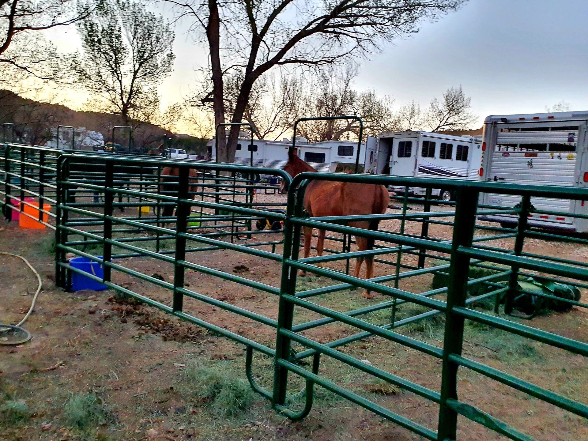equine-site