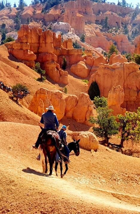 riding-horses-in-the-red-rock