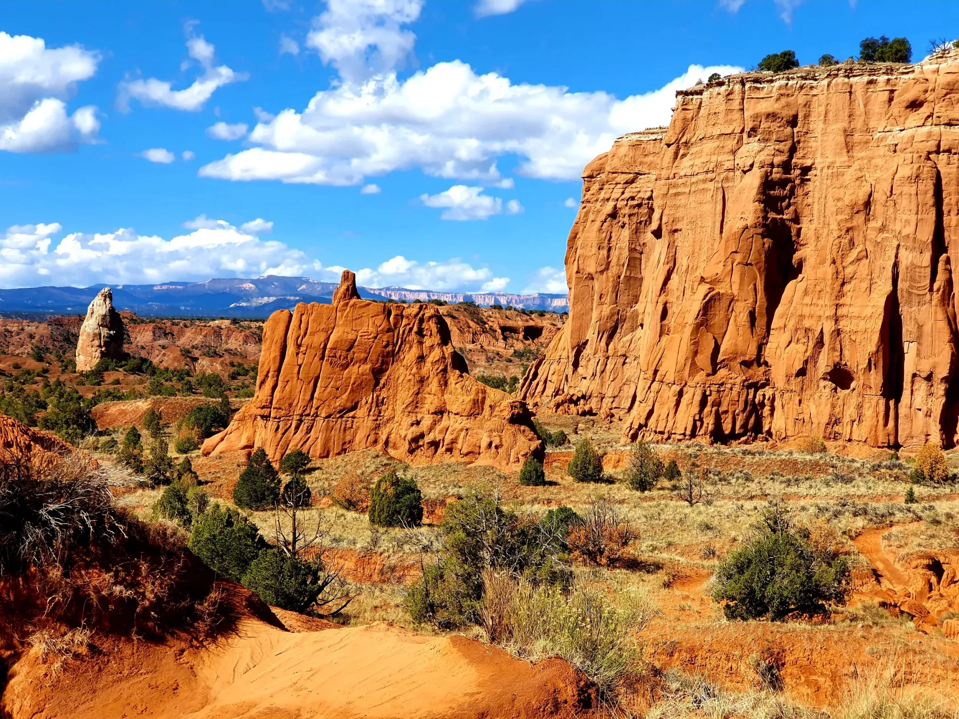 red-rocks
