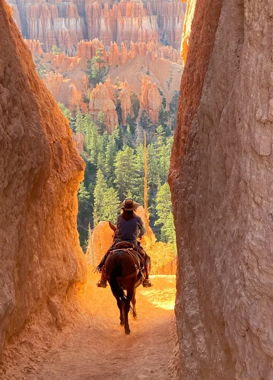horseback-riding