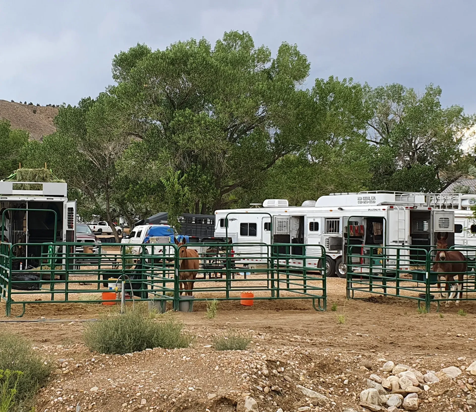 equine-pens
