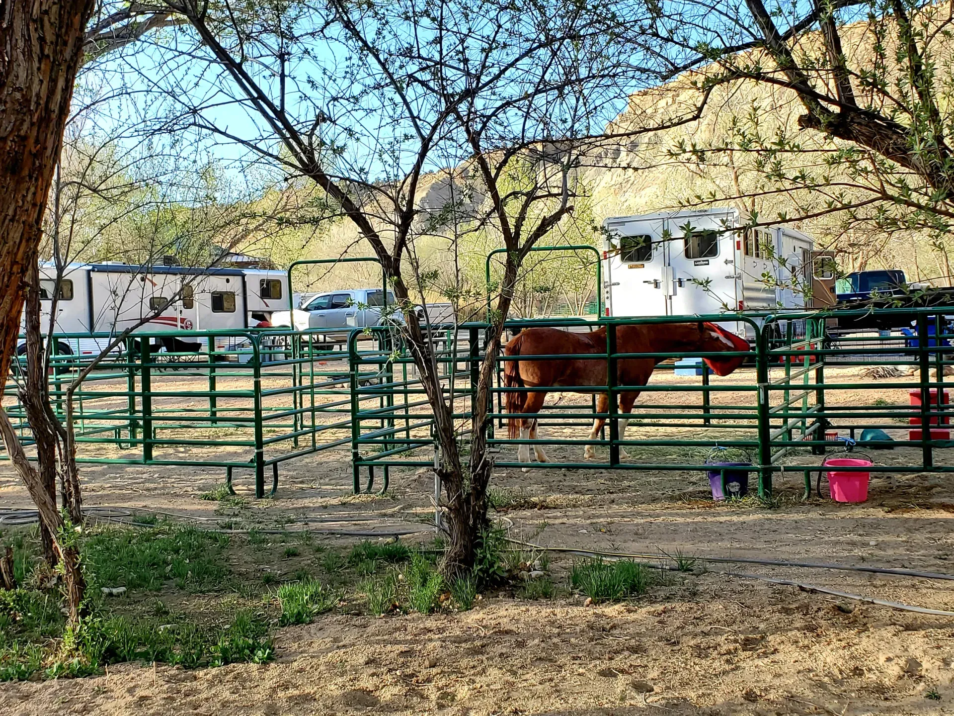 equine-pen