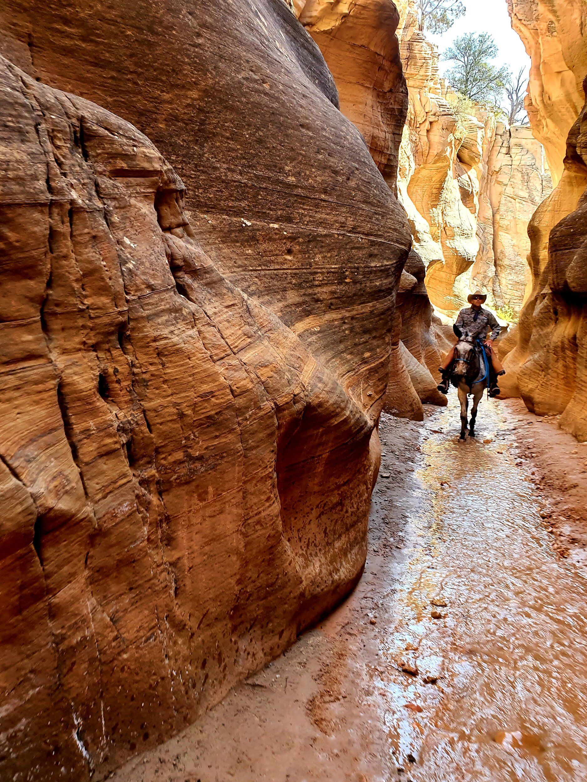 red-rock-trail-riding