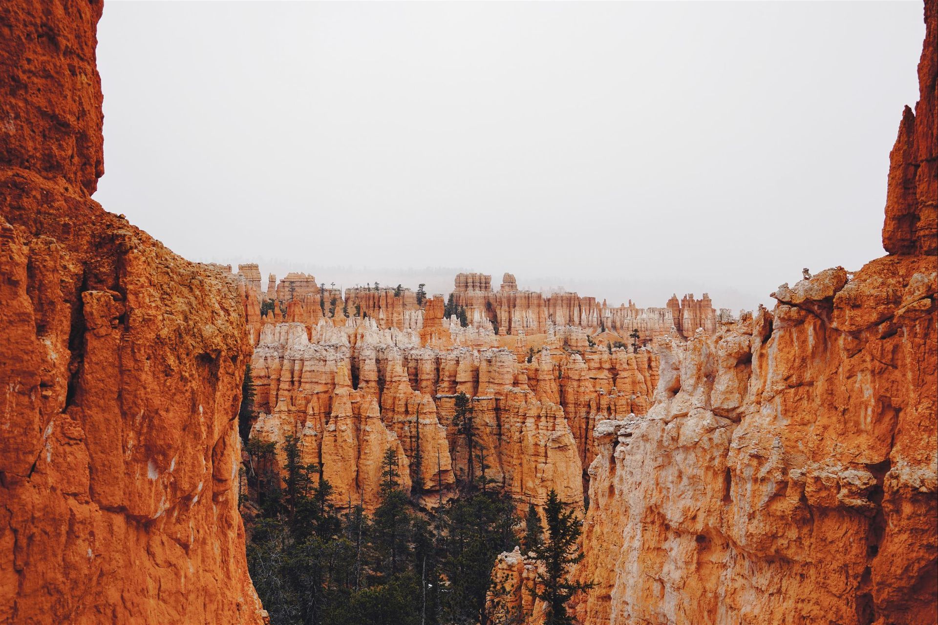 red-rocks-and-trees