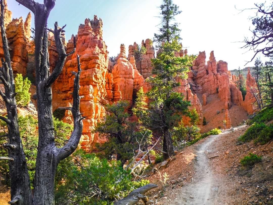hiking-trails
