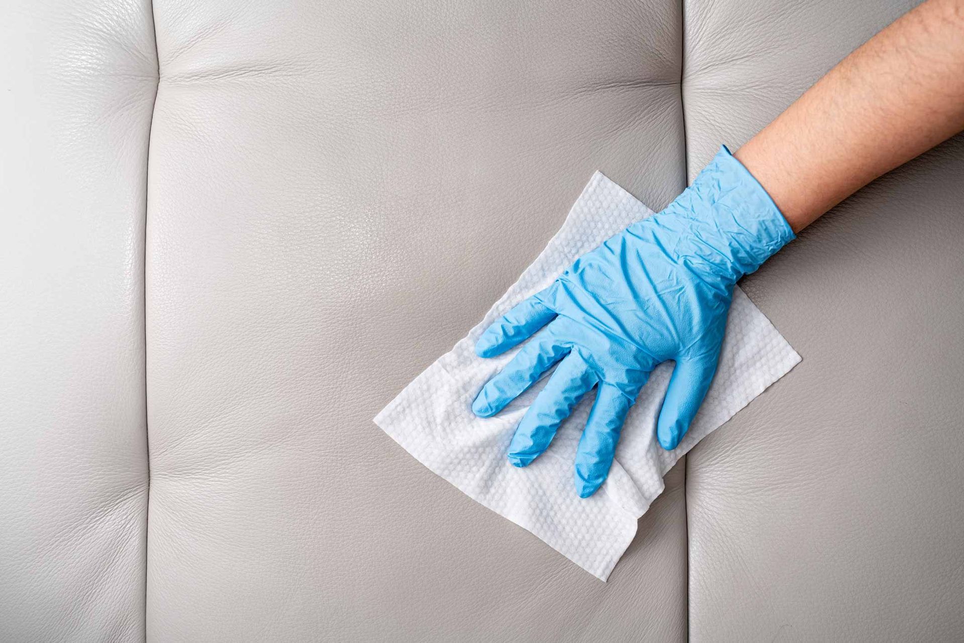 Hands With Glove Wiping Leather Sofa With Disinfection Wipes — Carson City, NV — Floor Masters Hands With Glove Wiping Leather Sofa With Disinfection Wipes — Carson City, NV — Floor Masters