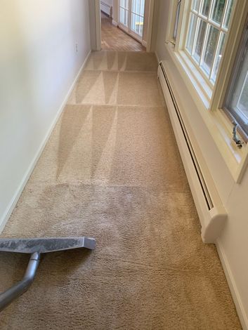 Vacuum Cleaner On Carpet — Carson City, NV — Floor Masters Vacuum Cleaner On Carpet — Carson City, NV — Floor Masters