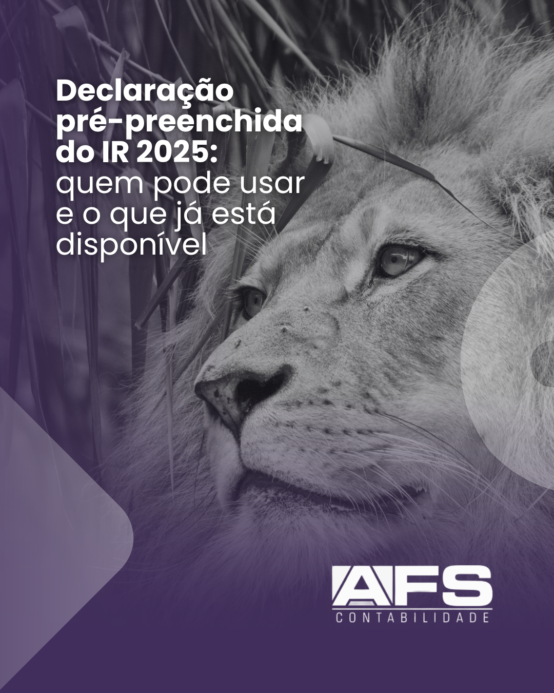 A declaração de Imposto de Renda (IR) é uma das obrigações fiscais mais importantes do ano para os c