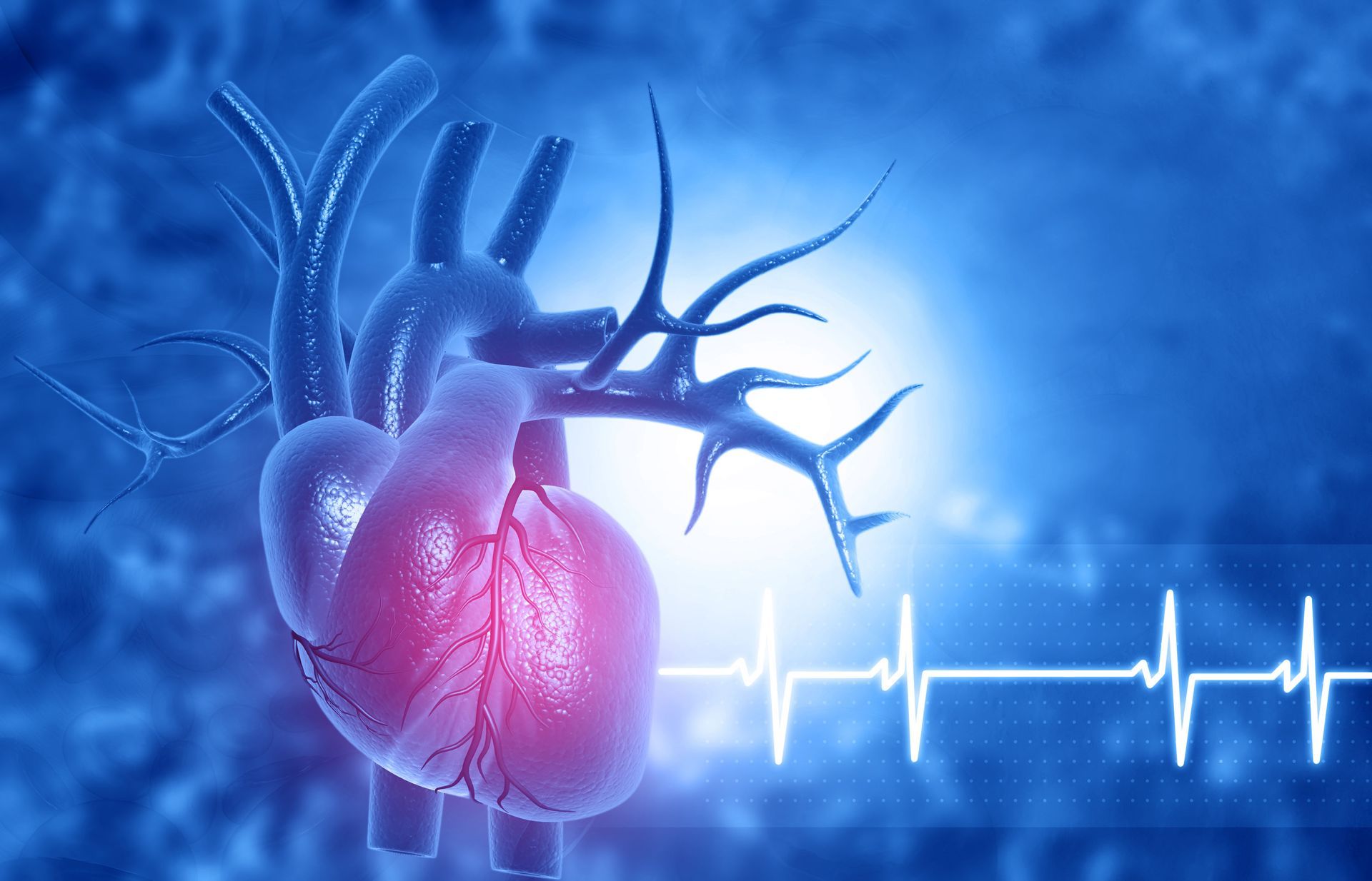 vascular surgery
