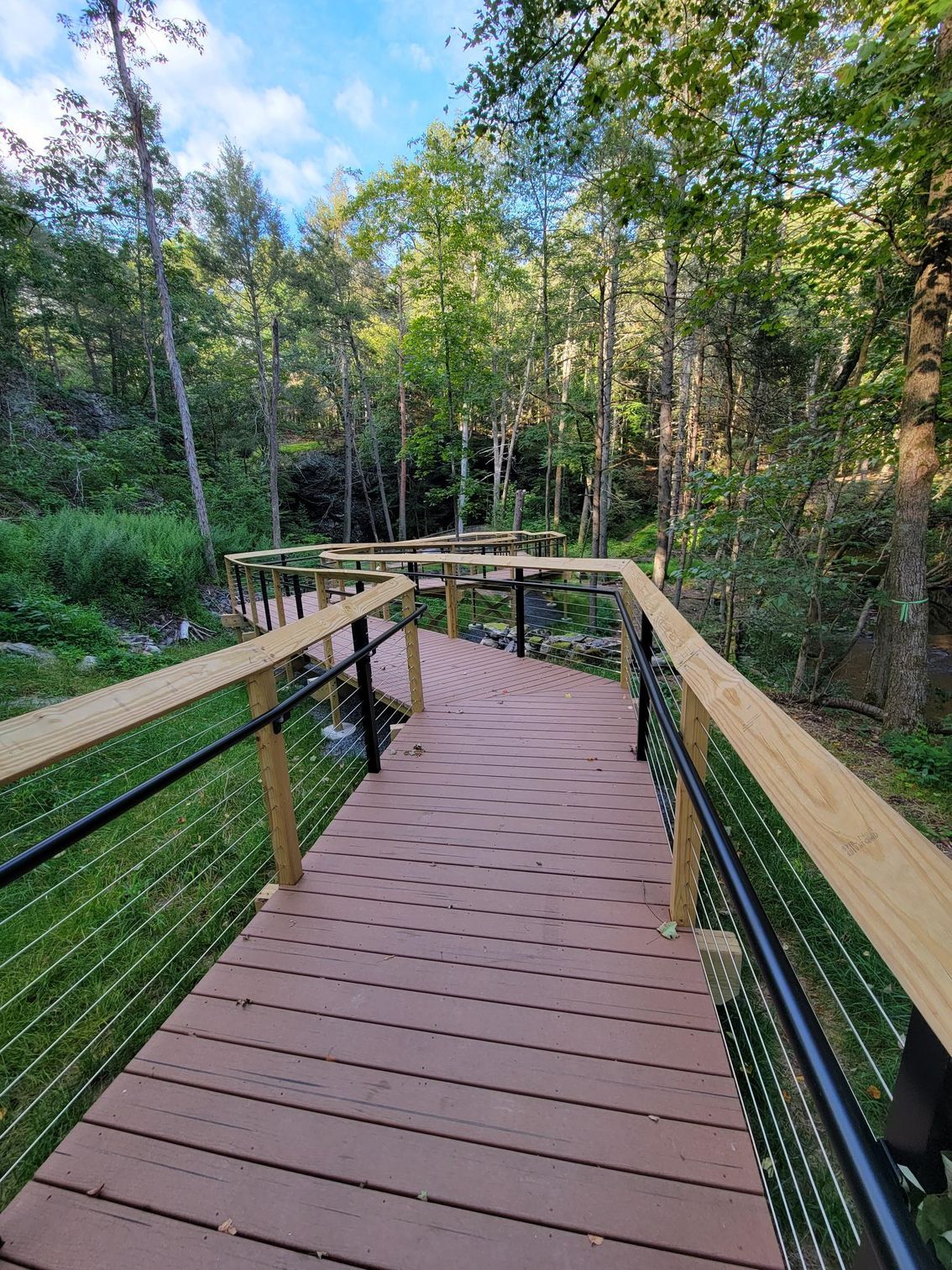 A wooden bridge in the middle of a forest.