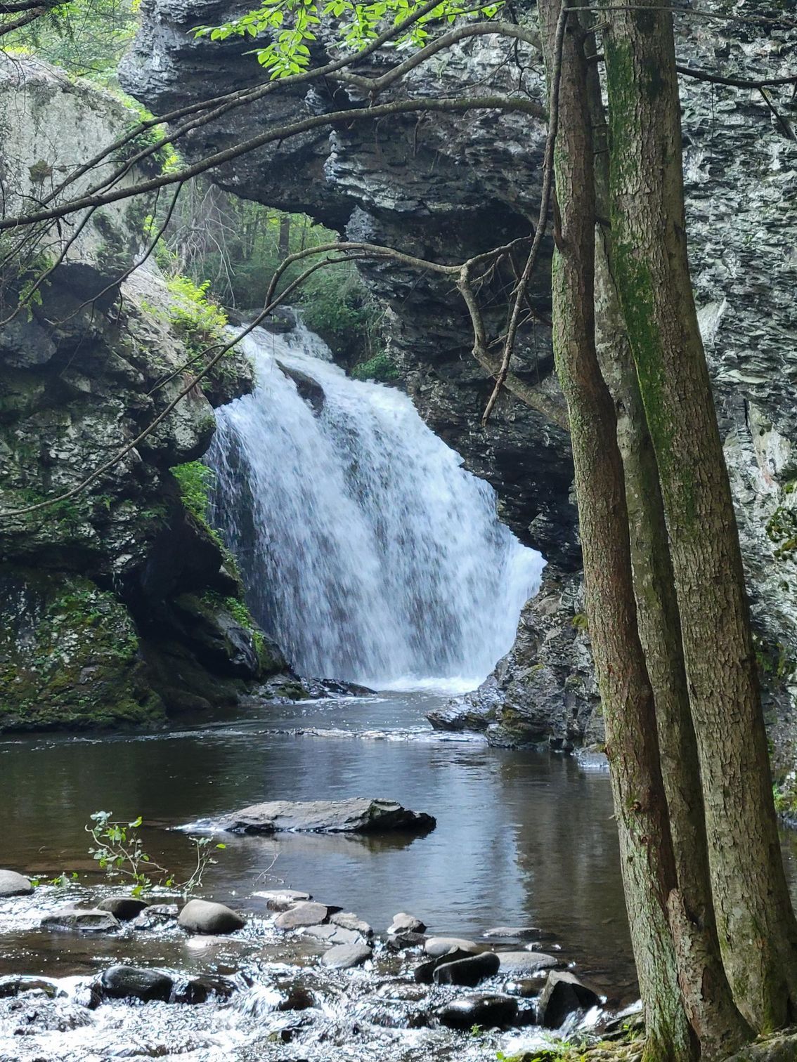 A waterfall is surrounded by rocks and trees in the middle of a river.