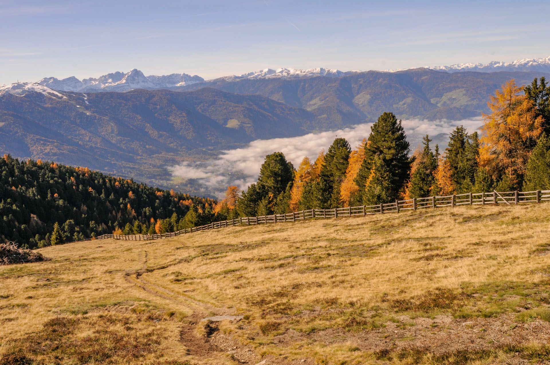 Ein Feld mit einem Zaun im Vordergrund und Bergen im Hintergrund.