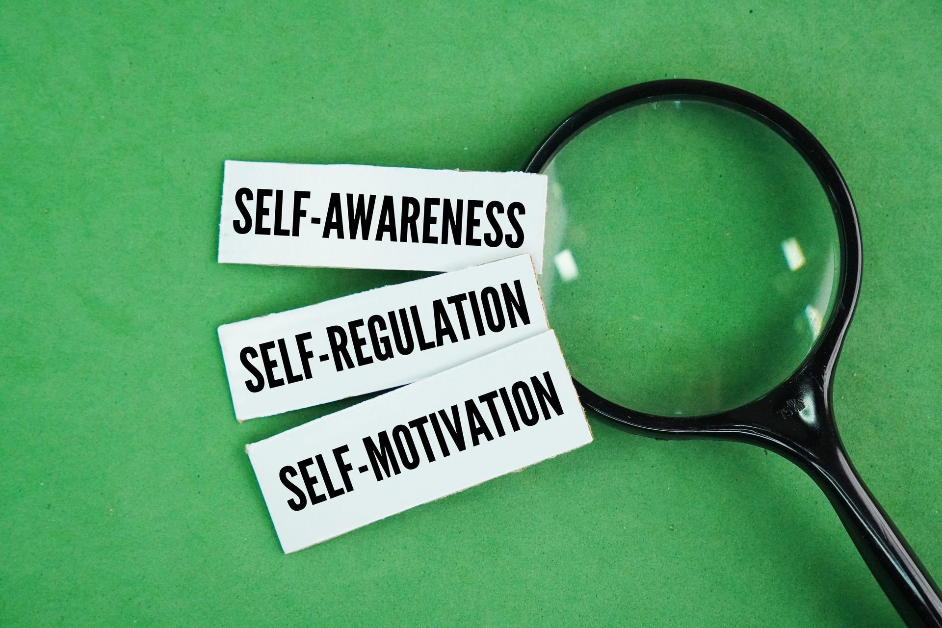 Magnifying glass over green background beside labels reading self-awareness, self-regulation, self-motivation