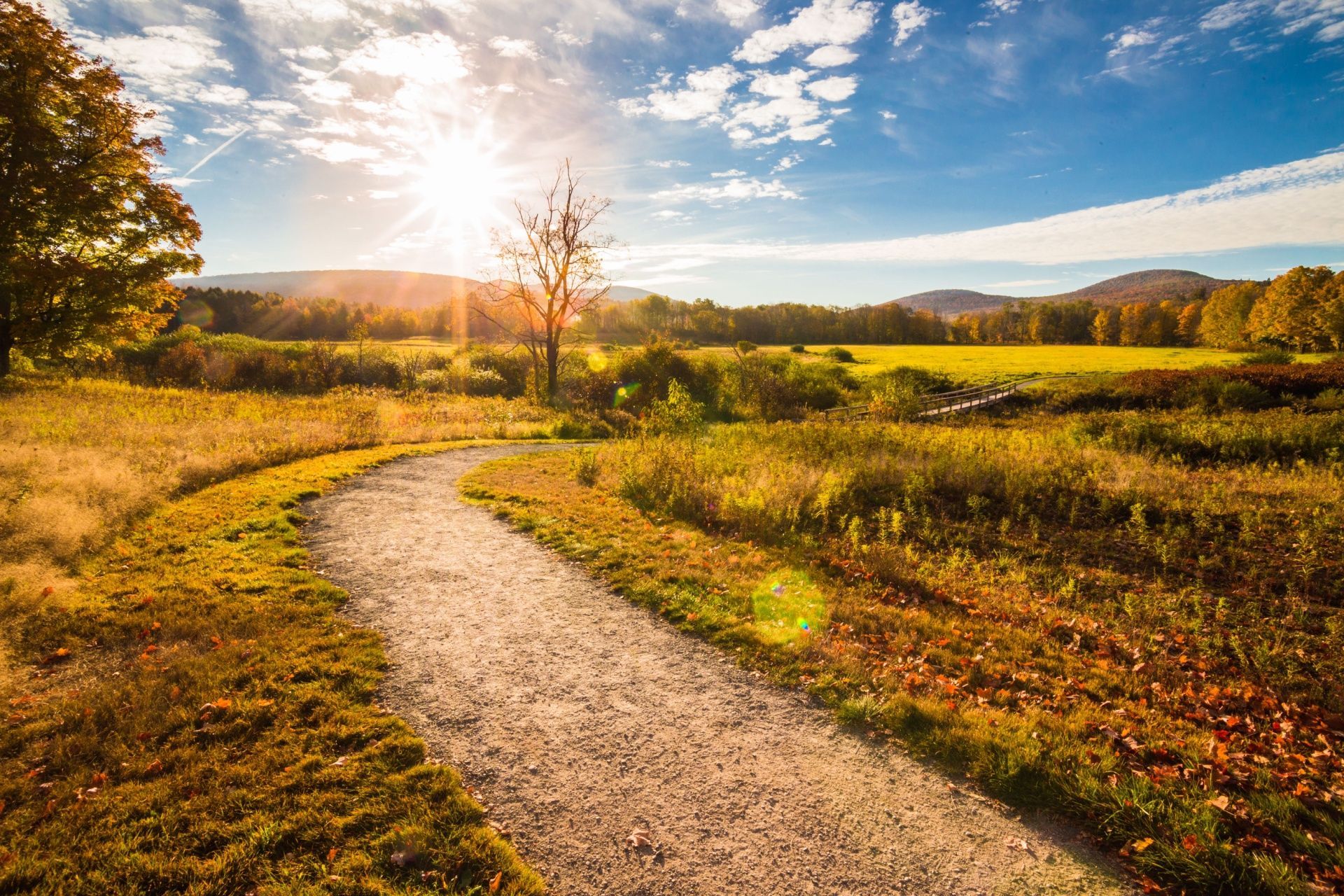 A gravel path leads through a golden field under a bright sun and blue, cloudy sky during autumn.