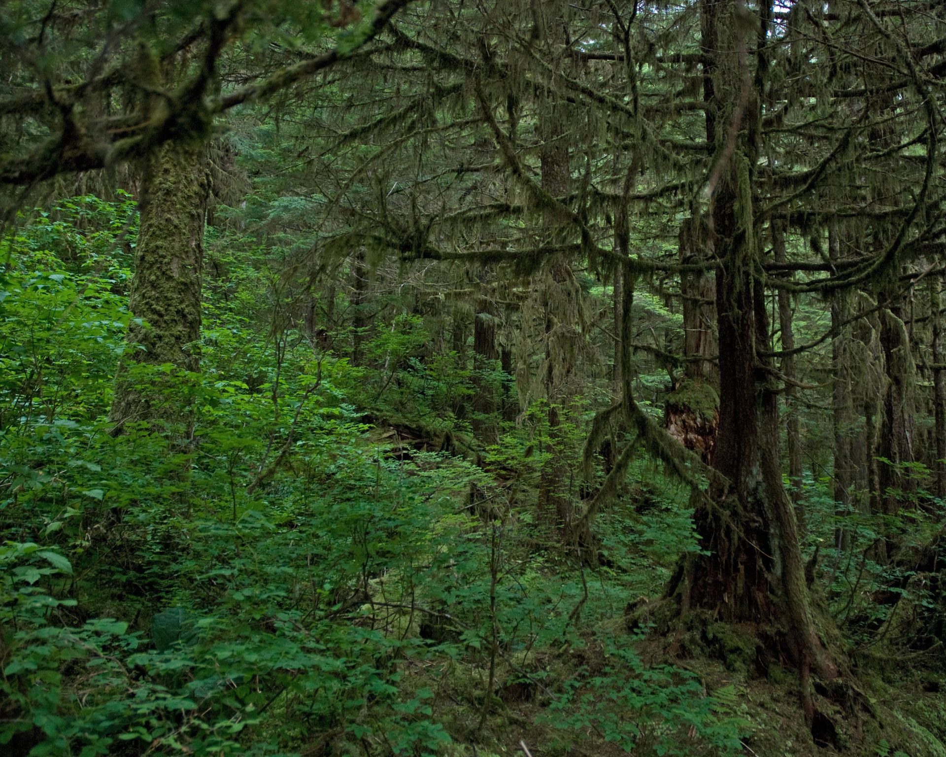 earth-sanctuary