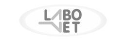 Um logotipo preto e branco para labo net