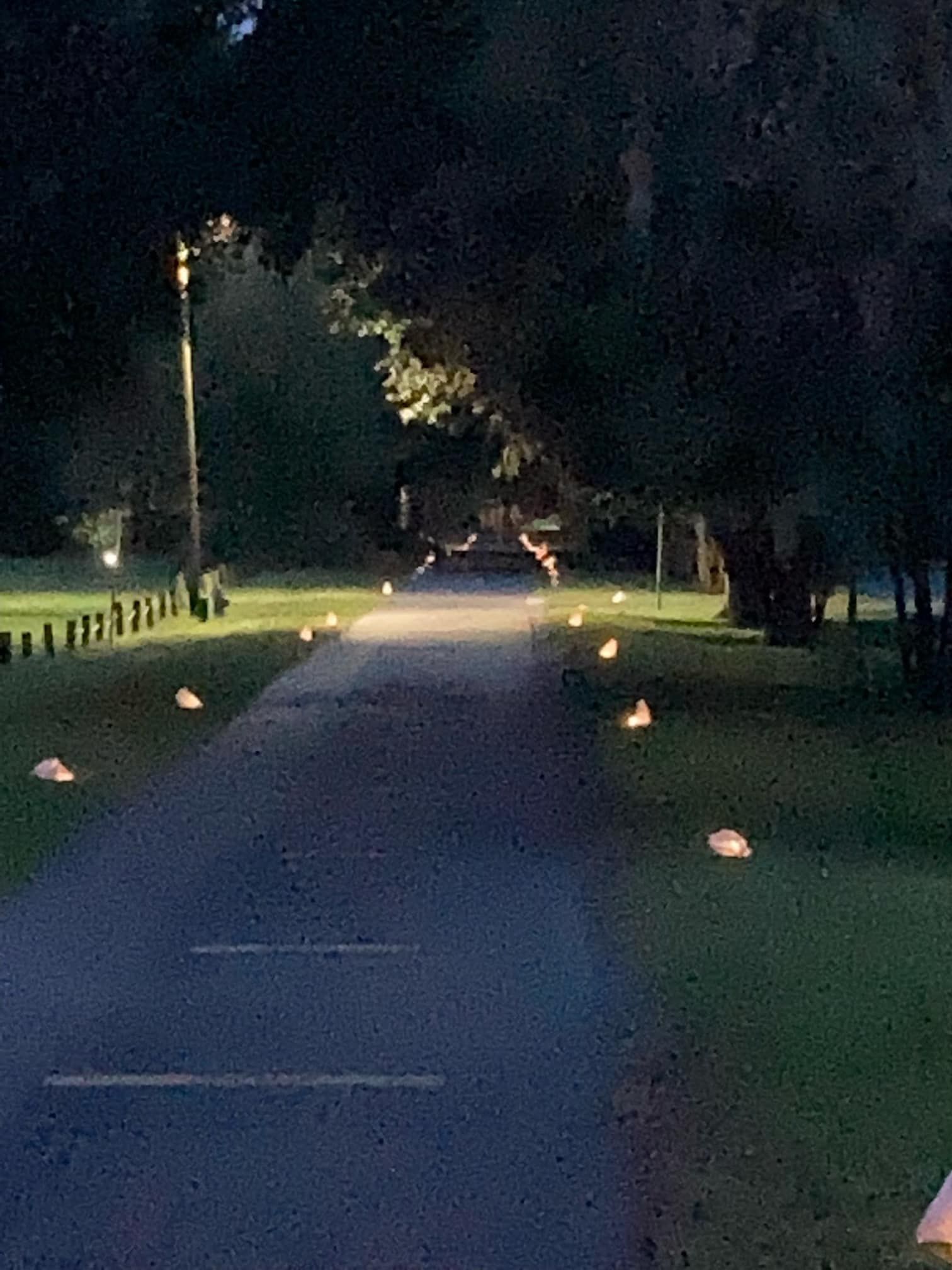 Glow Run Path