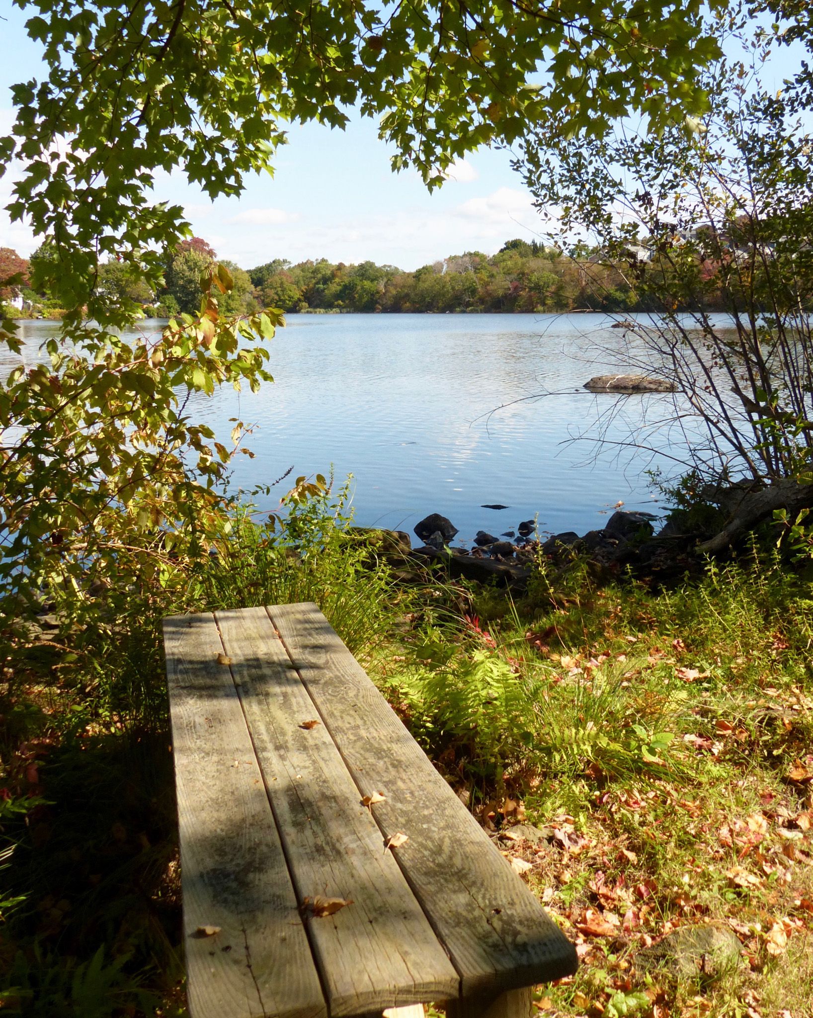Hardy Pond - Location - Smith Point - Waltham Land Trust