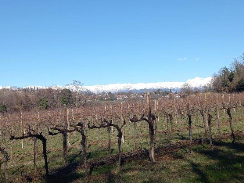 paesaggio e colline di moruzzo