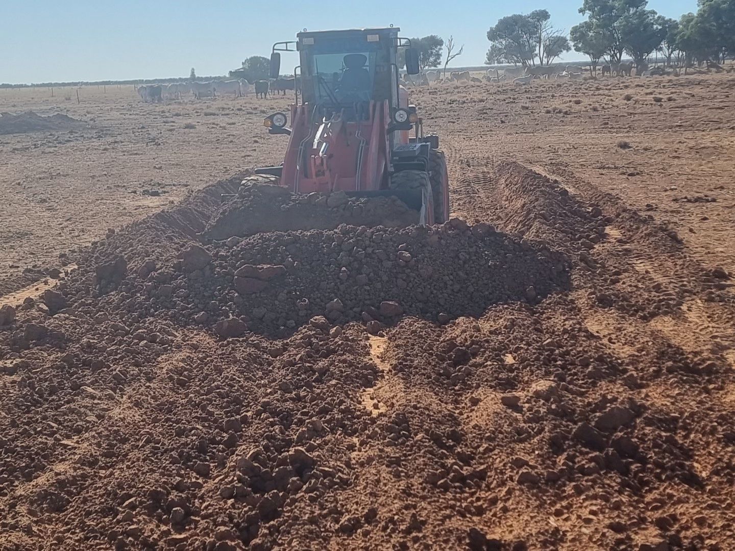 hercules earthmoving equipment australia