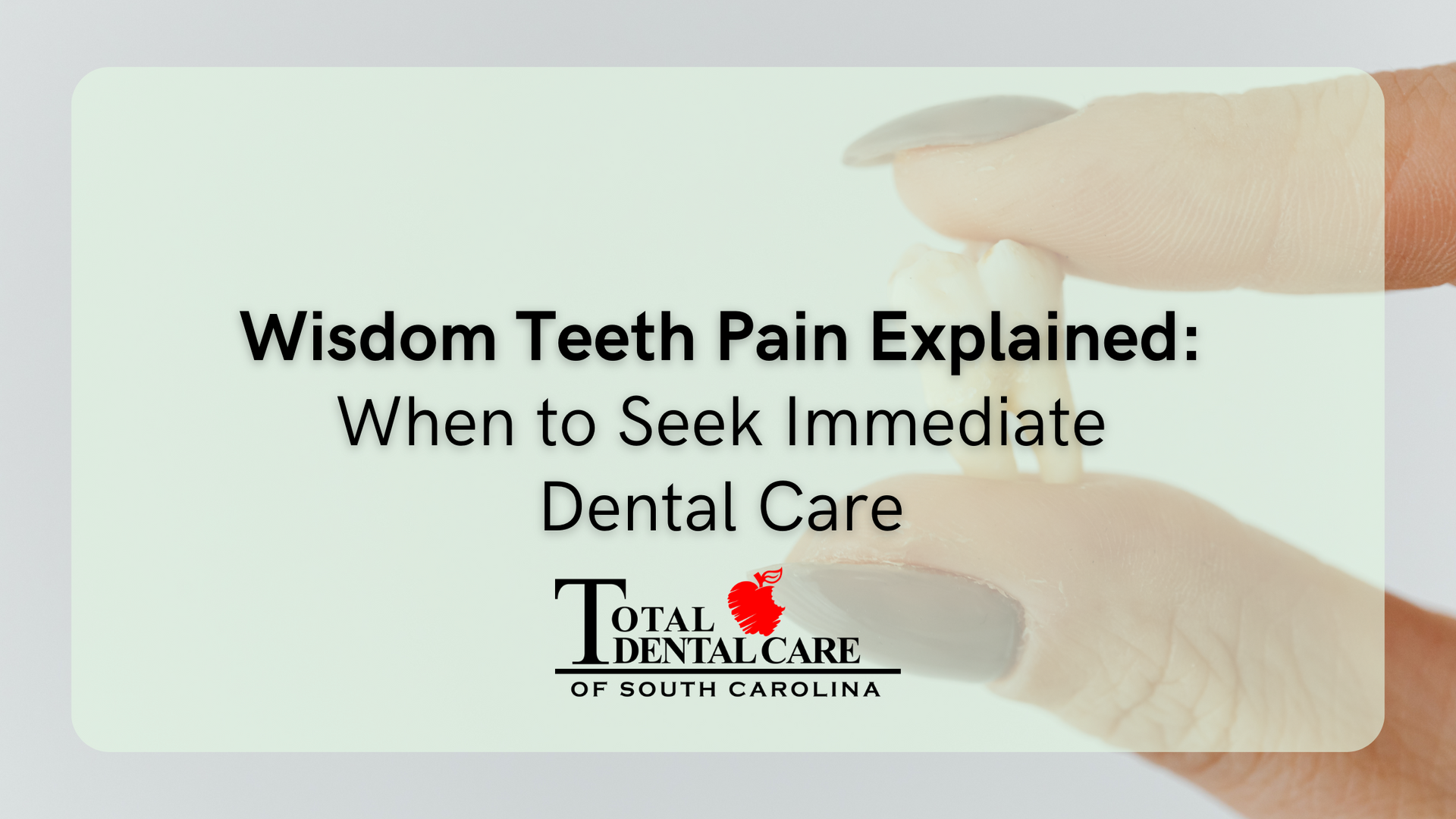 Wisdom teeth pain explained when to seek immediate dental care