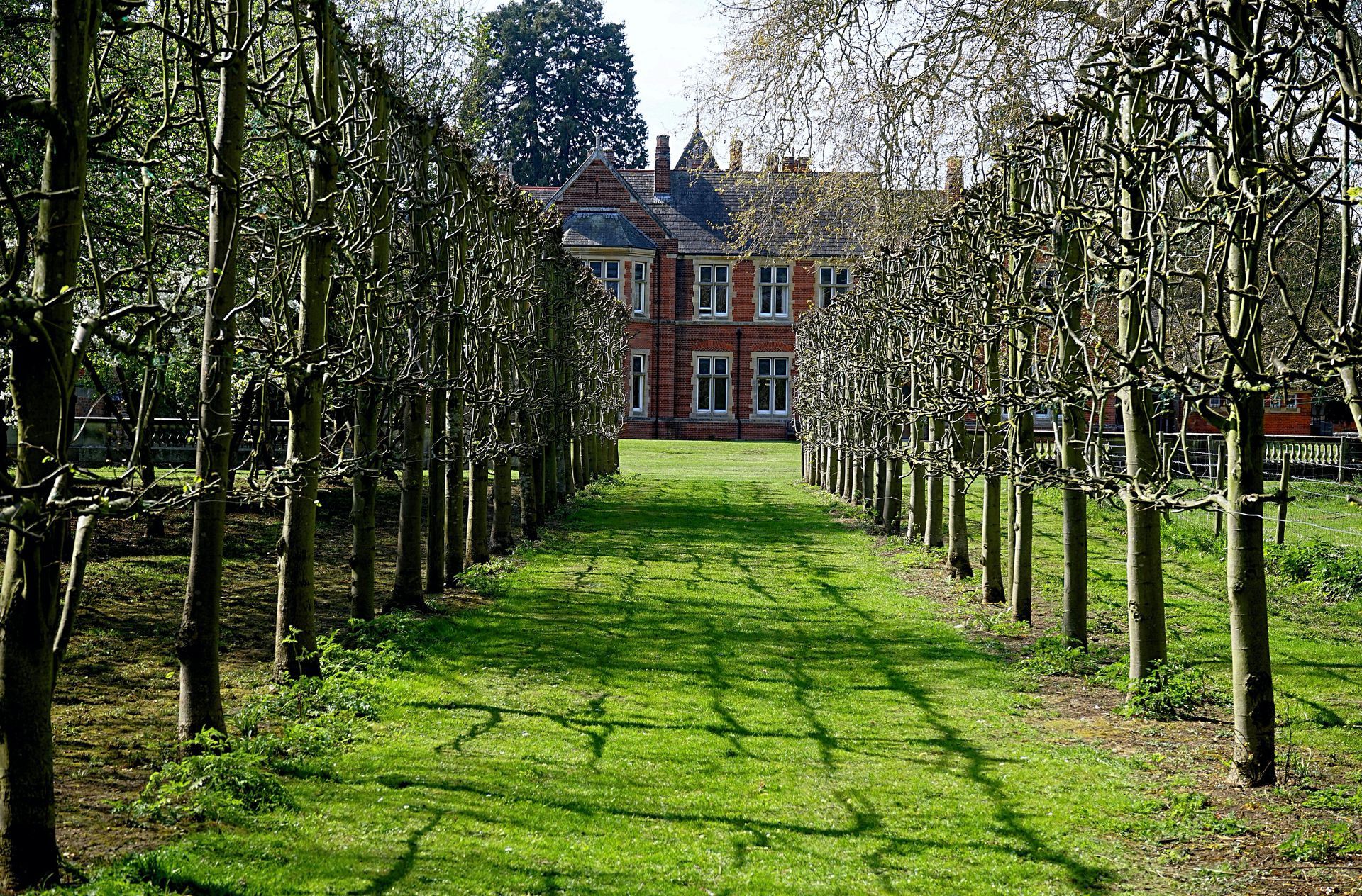 A brick manor house framed by two rows of espaliered fruit trees lining a grassy path.