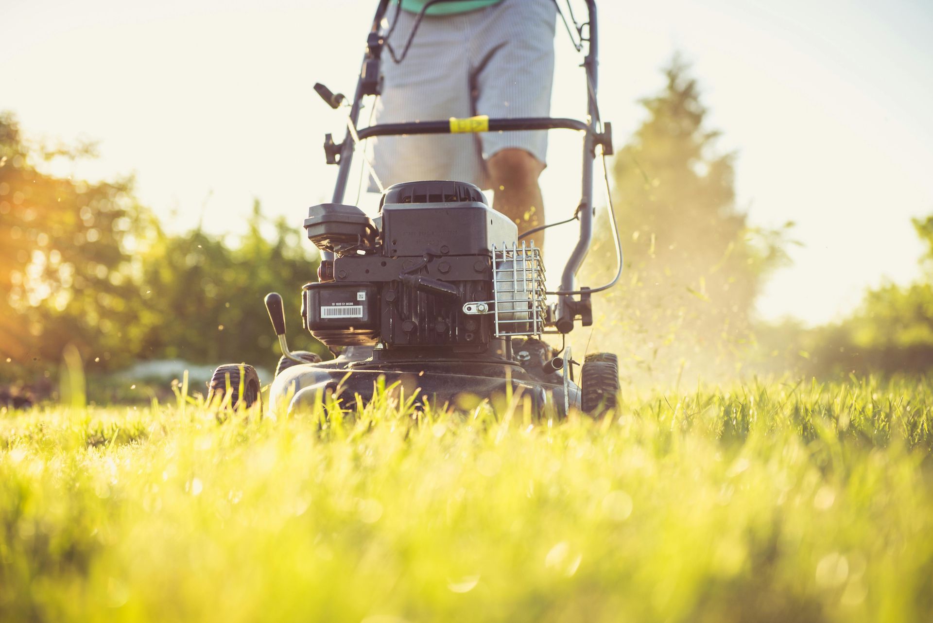 A person pushes a lawn mower across a sunlit grassy yard, creating a haze of clippings in the golden light.
