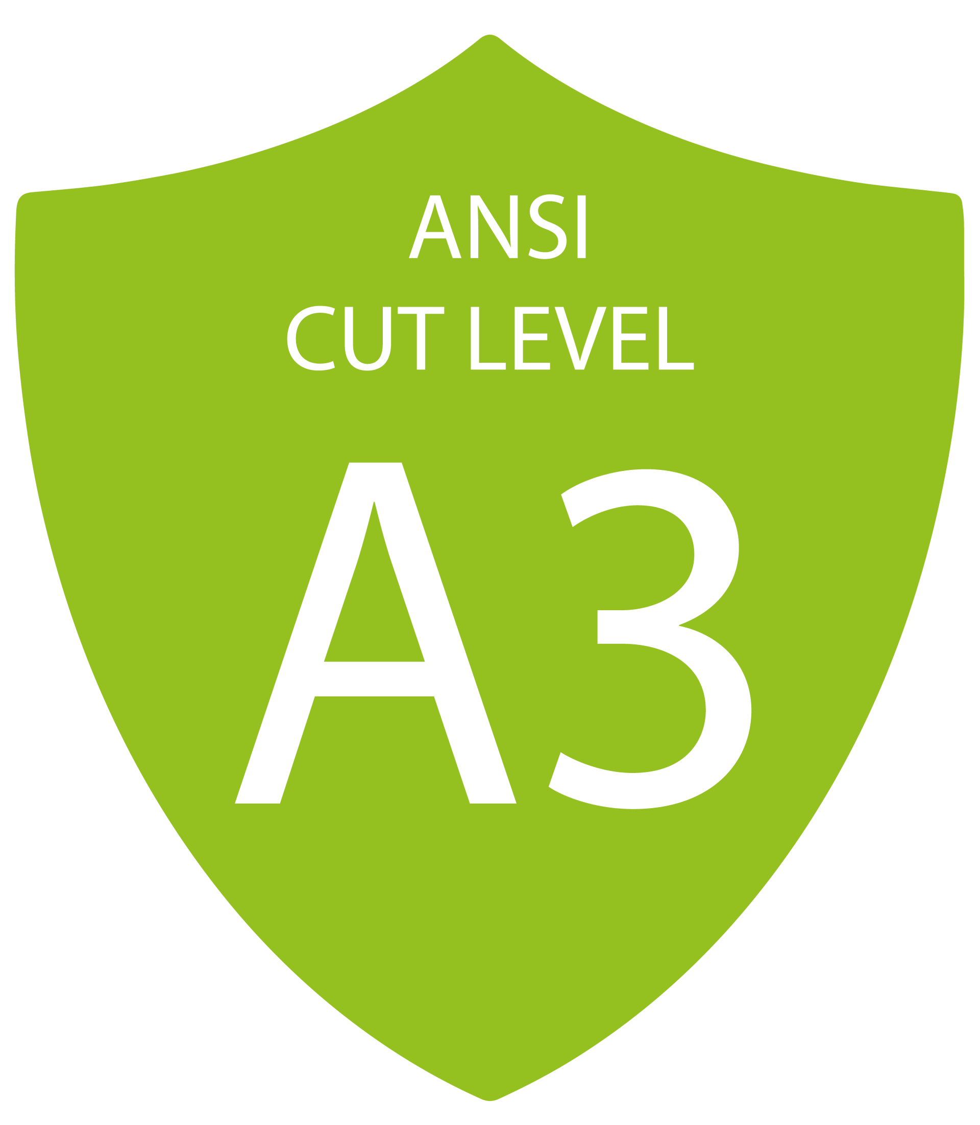 Un escudo verde con las palabras ansi cut nivel a3.