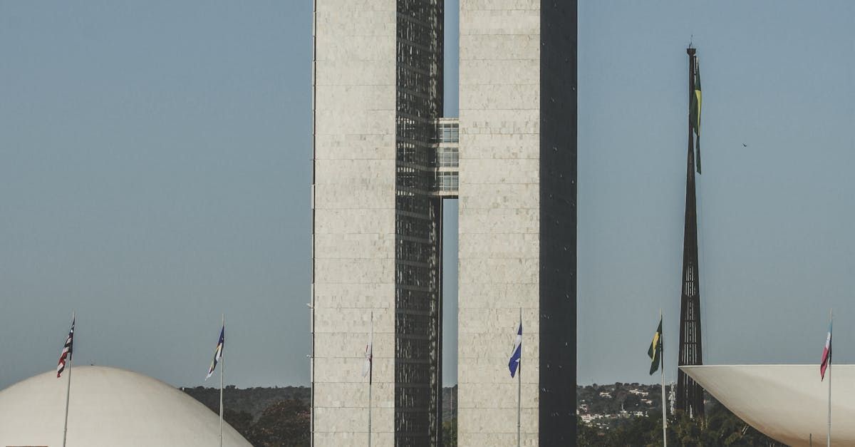 agencias reguladoras - poder central-dialogo