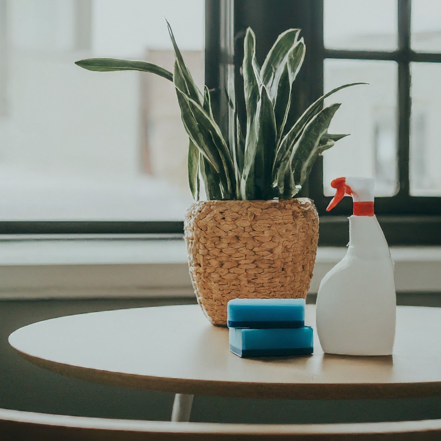 Office Cleaning in Jacksonville Florida