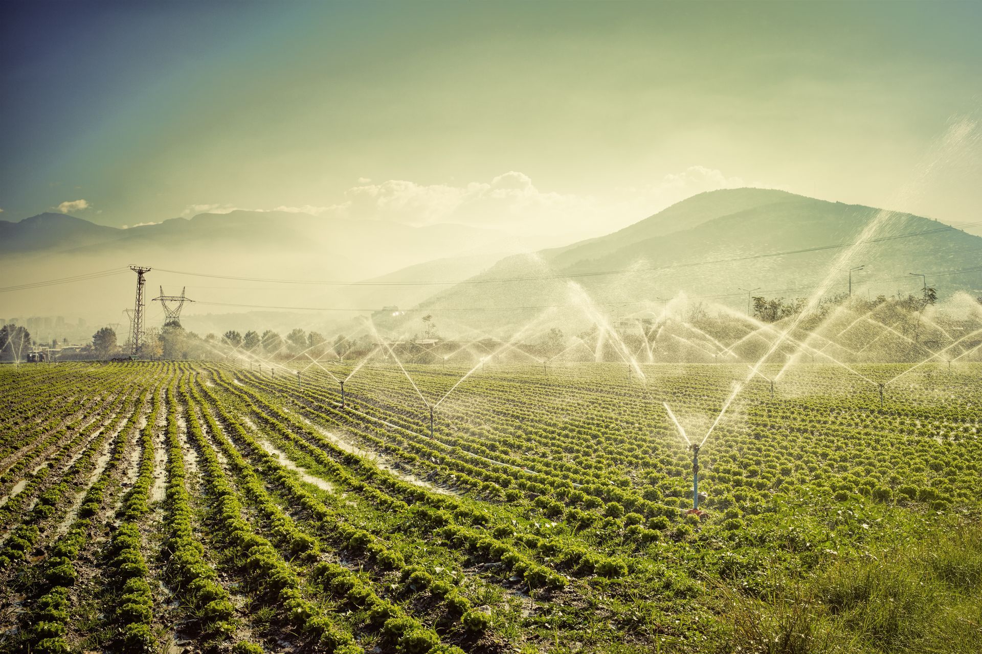 Irrigation sprinklers watering a green field of crops, mountains in the background under a hazy sky.