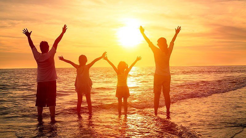 Wills, Trusts, and Estates Law