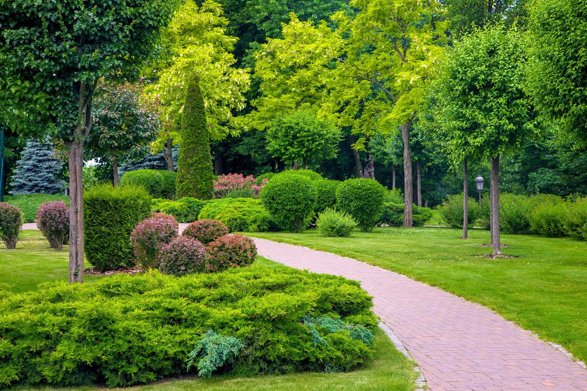 Curved pink path through a lush green park with trees and shrubs