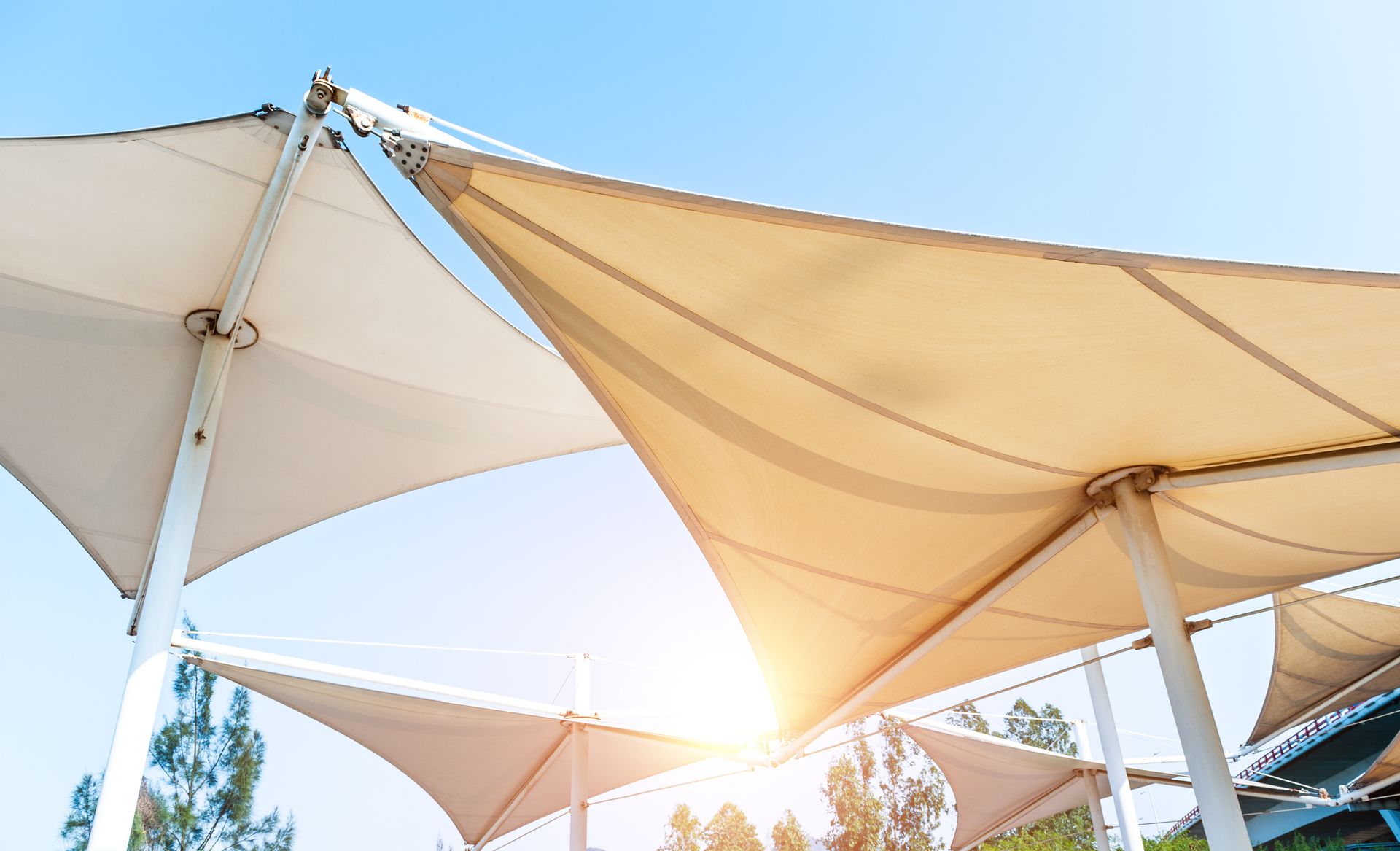 canopy vs pergola