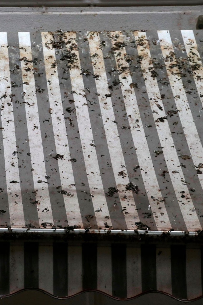 dirty awning with mildew