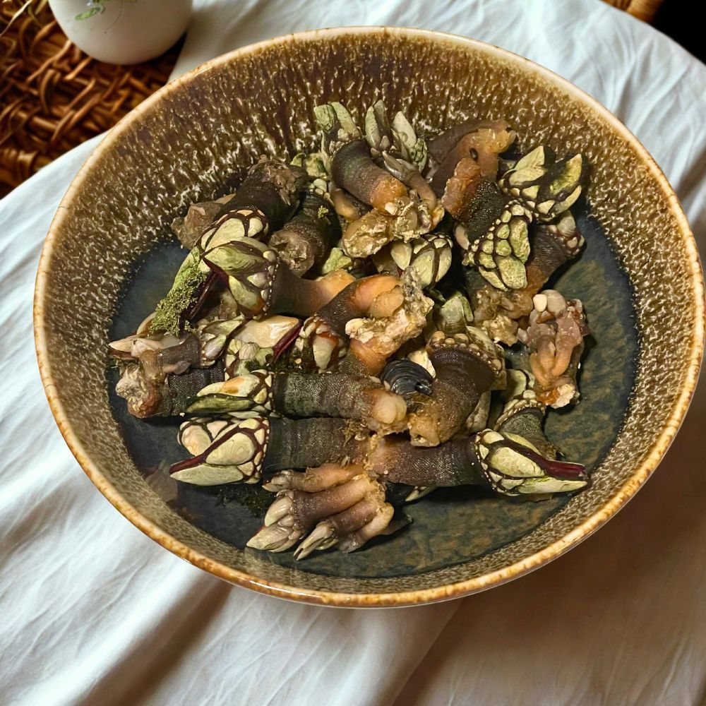 Percebes