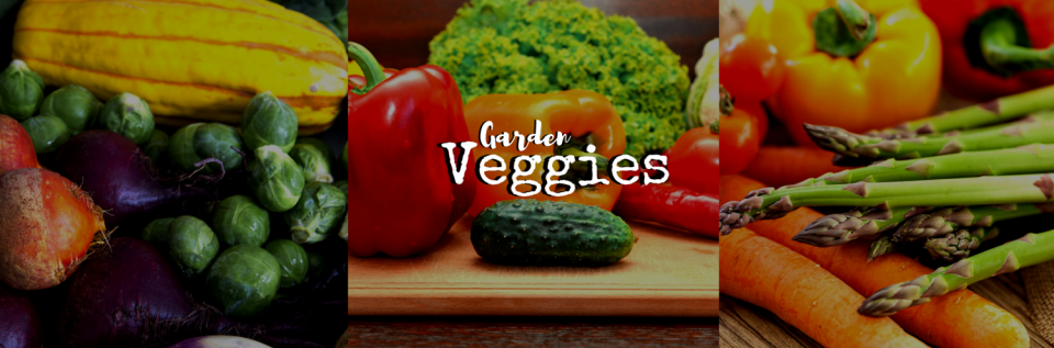 A collage of colorful fresh vegetables, including squash, Brussels sprouts, peppers, broccoli, and asparagus.