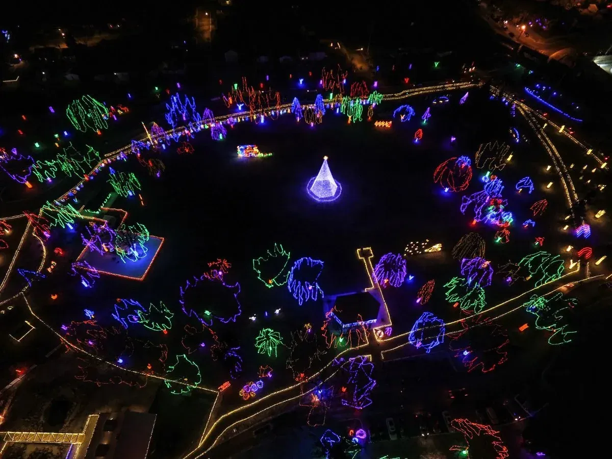 Nighttime park lit with colorful holiday lights surrounding a central glowing purple tree structure