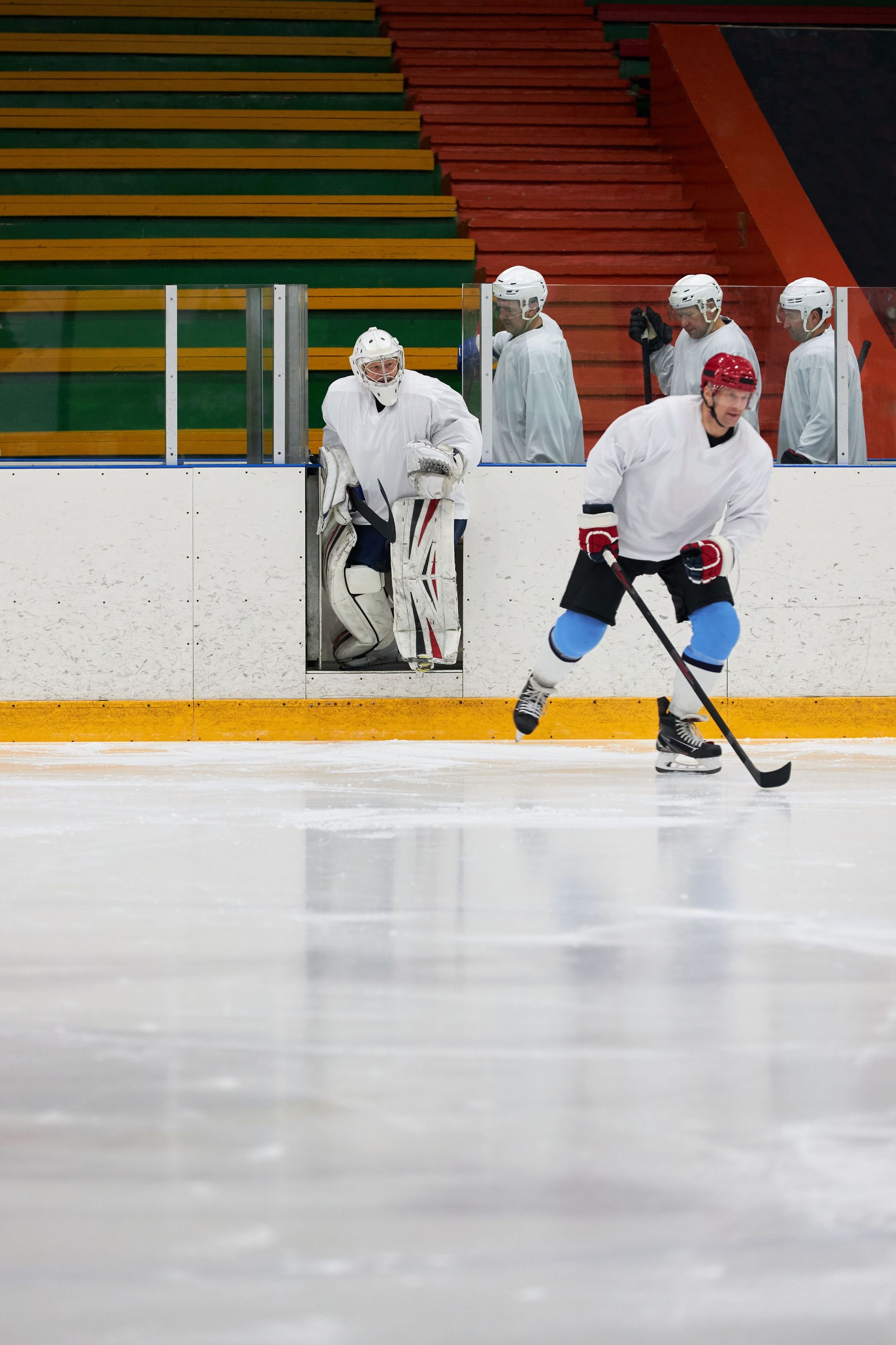 Minnesota State Mavericks